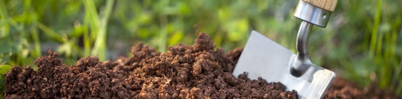 Çim Tohum Toprak & Tamir Kapak Toprak - Ege Peyzaj Bahçe Çim