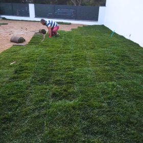 50 M2 Rulo Çim Uygulama - Ege Peyzaj Bahçe Çim