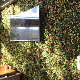 Yapay Dikey Bahçe &  Dikey Bahçe Fiyatları - Ege Peyzaj Bahçe Çim