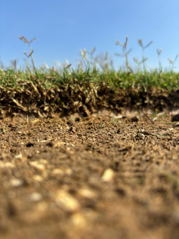 Manisa Peyzaj Hazır Rulo Çim Bahçeler - Ege Peyzaj Bahçe Çim