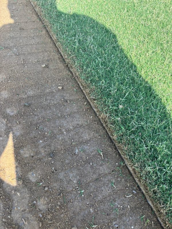 Manisa Peyzaj Hazır Rulo Çim Bahçeler - Ege Peyzaj Bahçe Çim