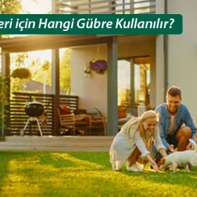 Çim coşturan gübre ile gübrelenen sağlıklı bir çim alanı