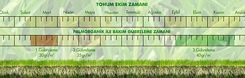 🟩 Ephesus 4’lü Karışım 10 KG - Ege Peyzaj Bahçe Çim