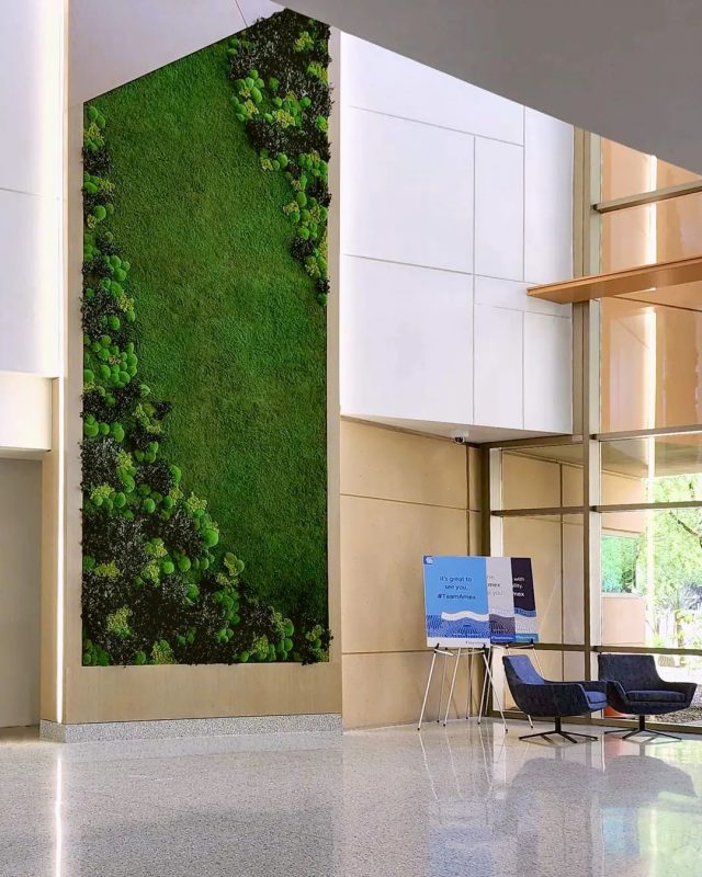 Yosun Dikey Bahçe - Ege Peyzaj Bahçe Çim