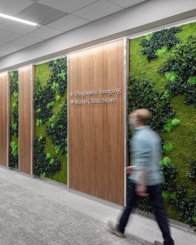 Yosun Dikey Bahçe - Ege Peyzaj Bahçe Çim