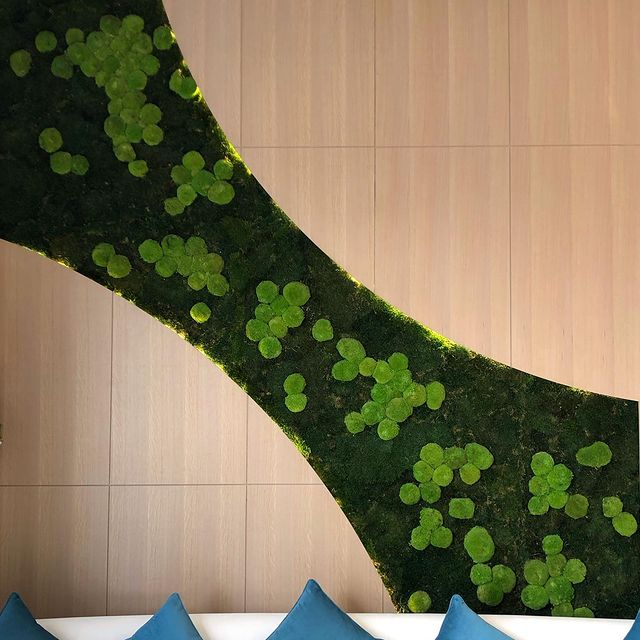 Yosun Dikey Bahçe - Ege Peyzaj Bahçe Çim