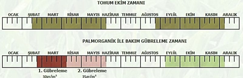 🟩  Ecopalmix 6’lı Karışım Çim Tohumu 10 KG - Ege Peyzaj Bahçe Çim