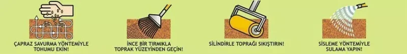 Trifolium Repens Süs Yoncası Tohumu 25 kg - Ege Peyzaj Bahçe Çim
