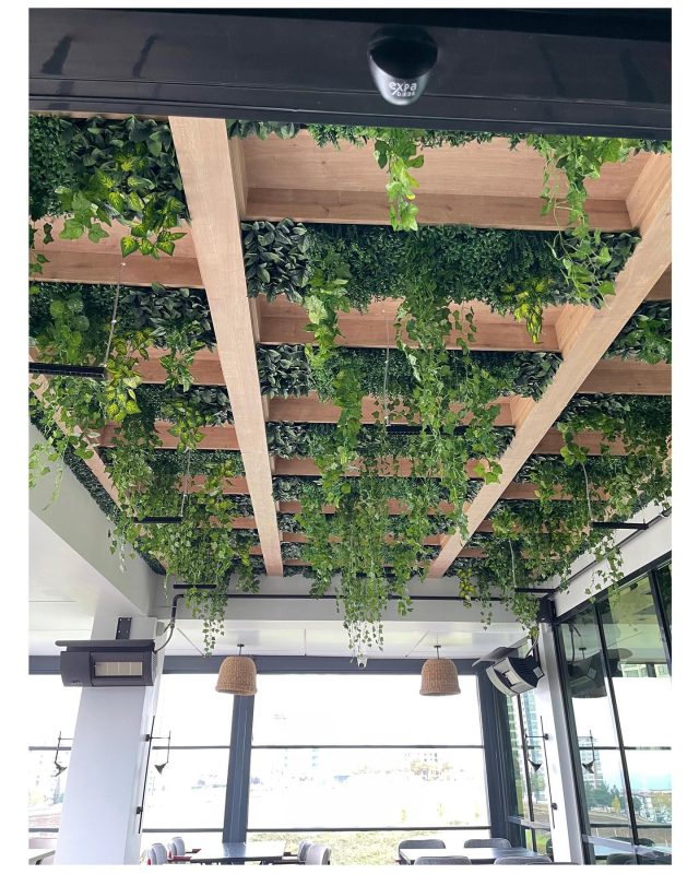 Yosun Dikey Bahçe - Ege Peyzaj Bahçe Çim