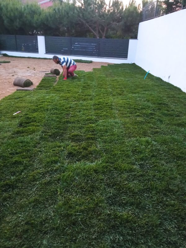 Kuşadası Peyzaj Firması Hazır Rulo Çİm