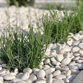 Dolomit Taşı Tamburlu Beyaz Taş 20 Kg 50 Paket - Ege Peyzaj Bahçe Çim