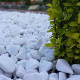 Dolomit Taşı Tamburlu Beyaz Taş 20 Kg 50 Paket - Ege Peyzaj Bahçe Çim